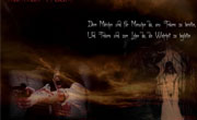 Screen Wallpaper &copy;velvet